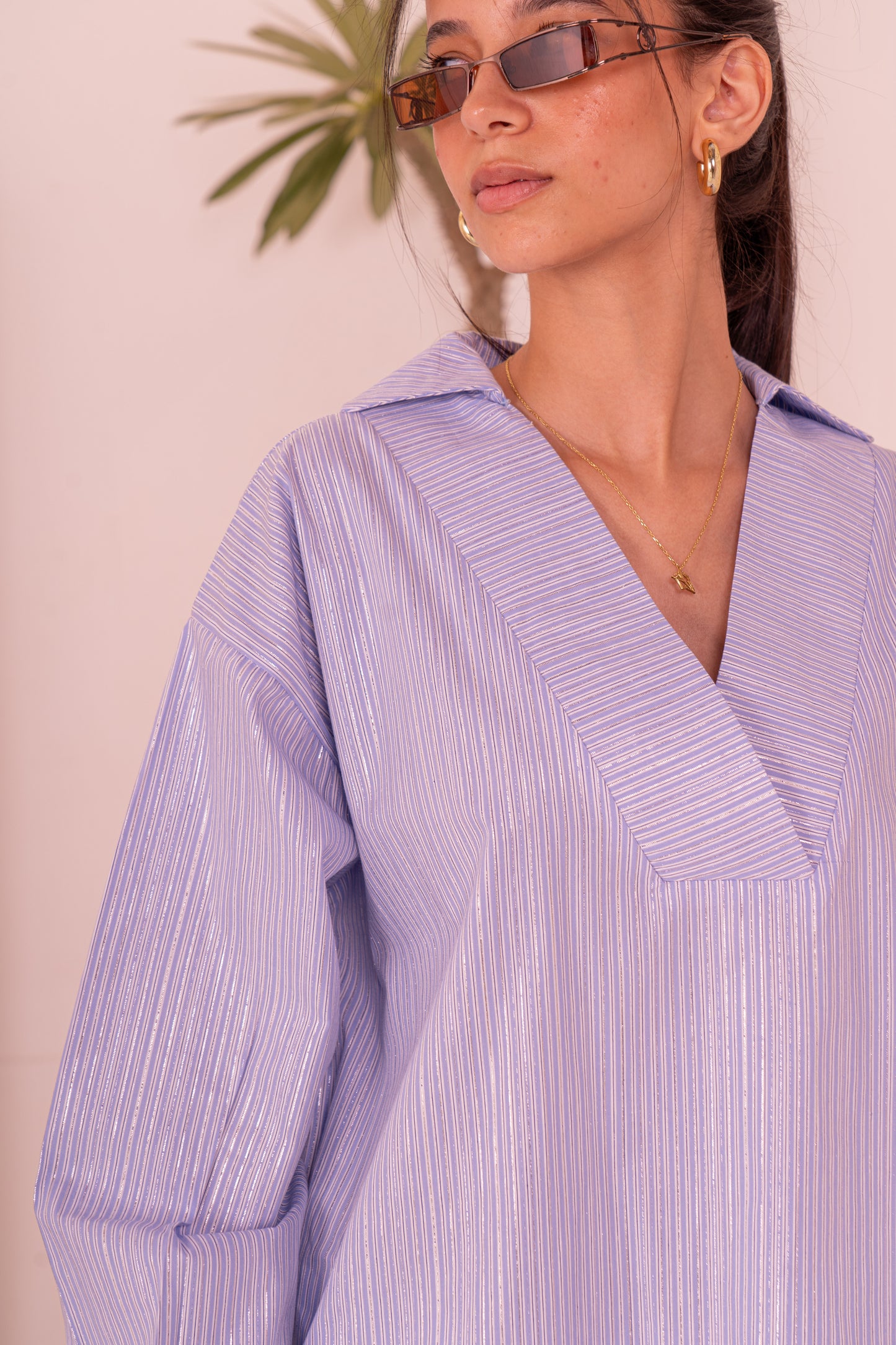 Blue Striped Shirt